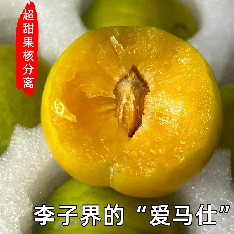 正宗贵州六马蜂糖李自有果园提供授权溯源码支持一件代发