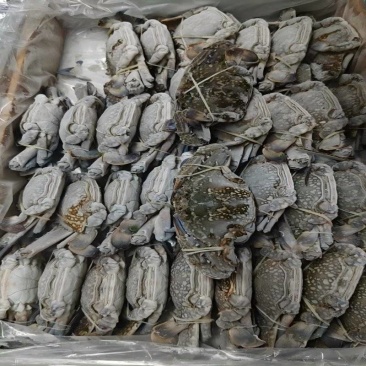 冻蓝花蟹8KG/箱