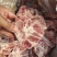 满肉猪龙骨块