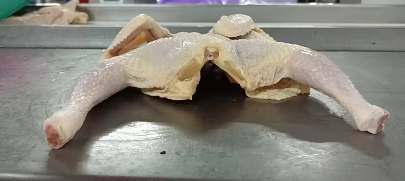 小西装鸡9.8公斤一件18-28只，品质好，支持全国发货