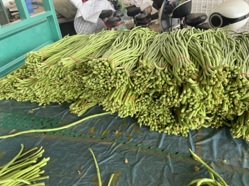 邯郸本地青条长豆角、豇豆、大量上市、青条！