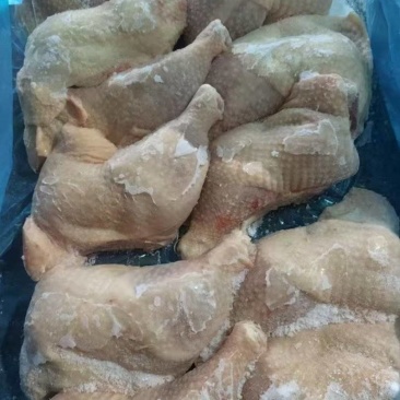 黄油老鸡排腿电商爆品