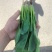 菠菜大量上市诚信经三排俩排半俩排大量出货