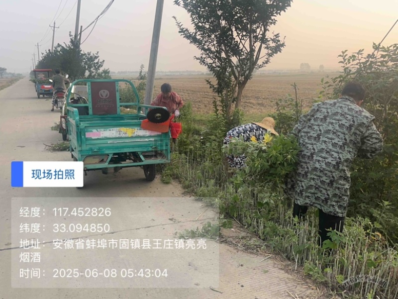 自家种植的20亩艾草批发，价格优惠2元斤干货，量大从优