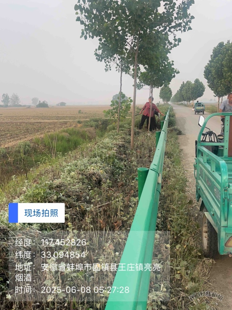 自家种植的20亩艾草批发，价格优惠2元斤干货，量大从优