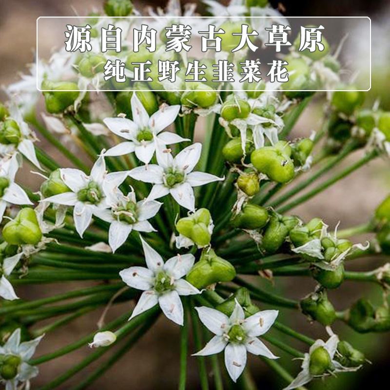 纯正草原野生韭菜花200g/罐/袋