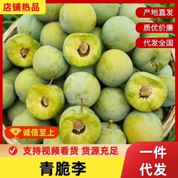 一件代发~脱骨青脆李各大电商平台对接品质上乘价格不高