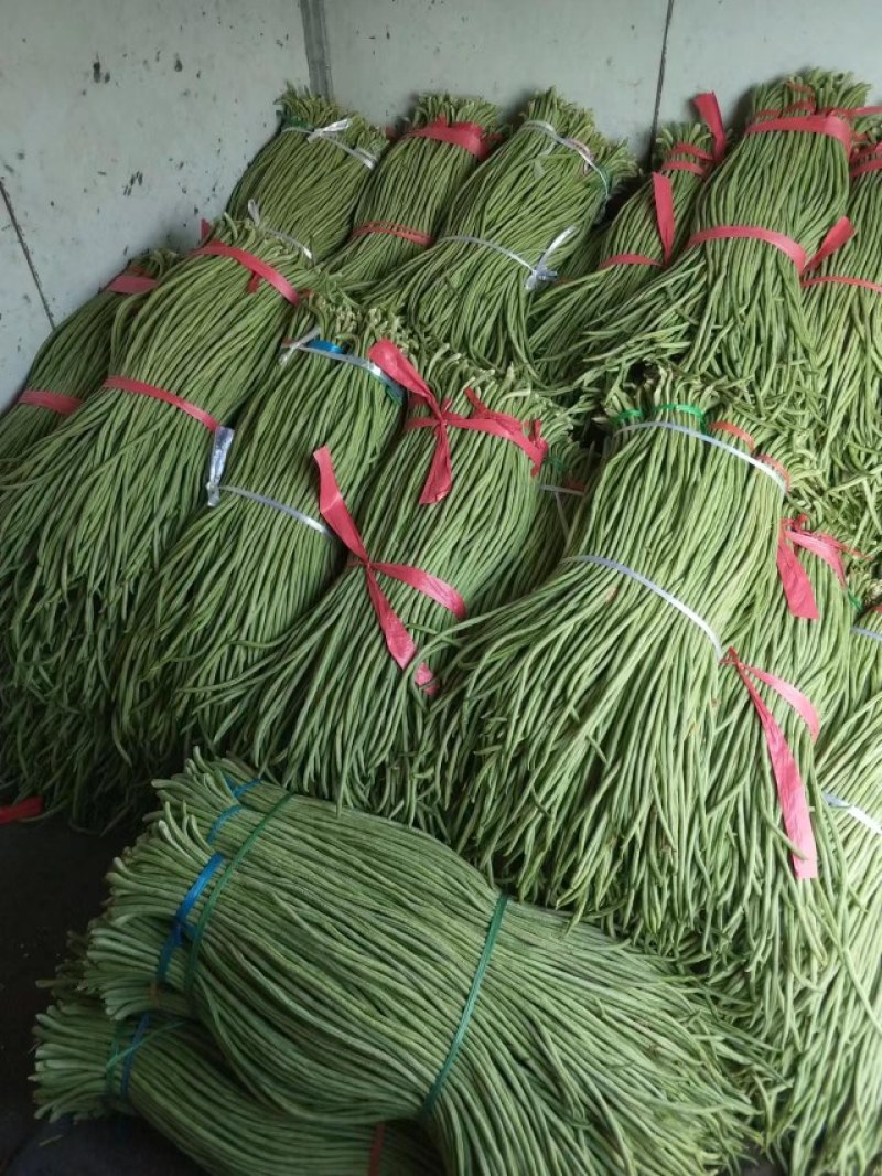精品长豆角，产地一手货源，最快当天到货。