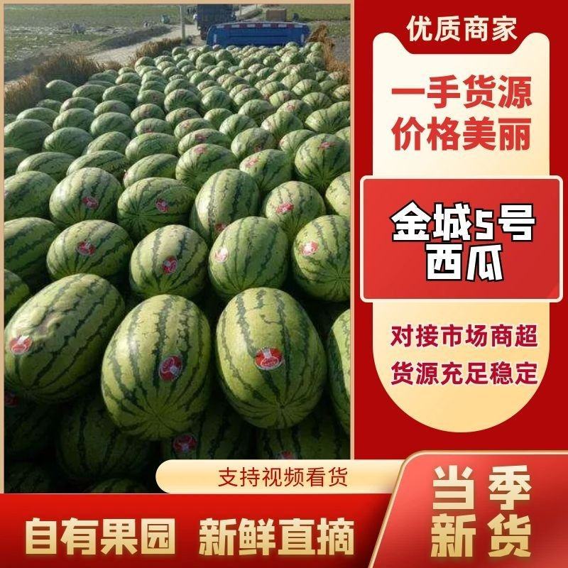 金城五号西瓜，湖北西瓜，皮薄肉红，一手货源，地头发货