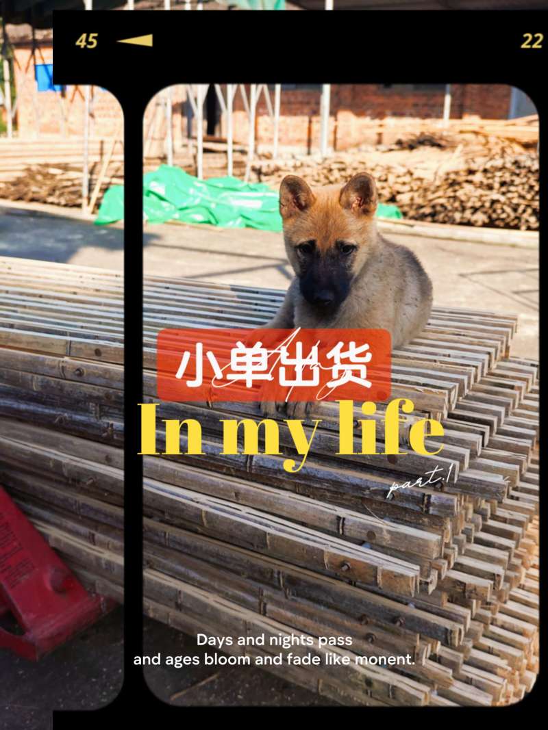 羊床漏粪板安徽漏粪板河南漏粪板山东漏粪板河北漏粪板广东
