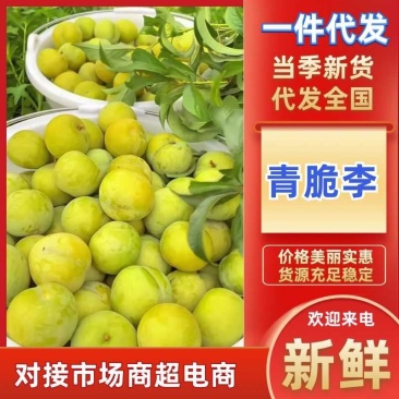 一件代发~云南脱骨青脆李子产地代发大量现货价格不高可实地