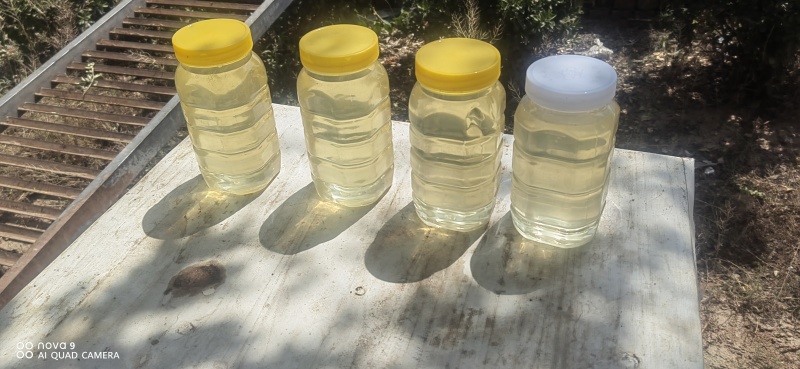 家养自产蜂蜜，规格1斤2斤，5斤装，数量有限，先到先得！
