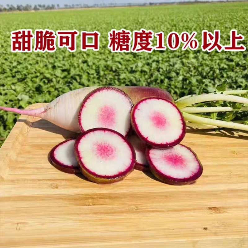 冰淇淋水果萝卜种子冰甜心7号冰激凌超甜脆秋播水果萝卜种子