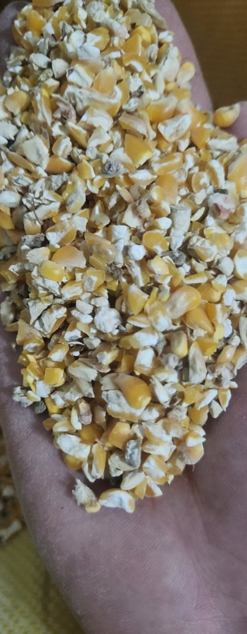 碎玉米下脚料，过风过筛