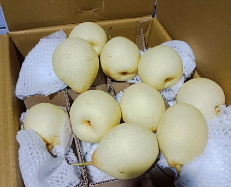 河北梨水晶梨鸭梨质量好，上货快有需要的客商联系。