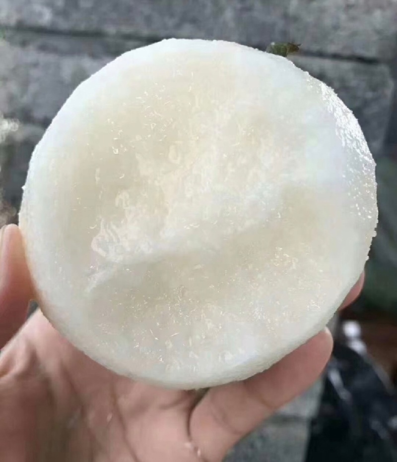 河北梨水晶梨鸭梨质量好，上货快有需要的客商联系。