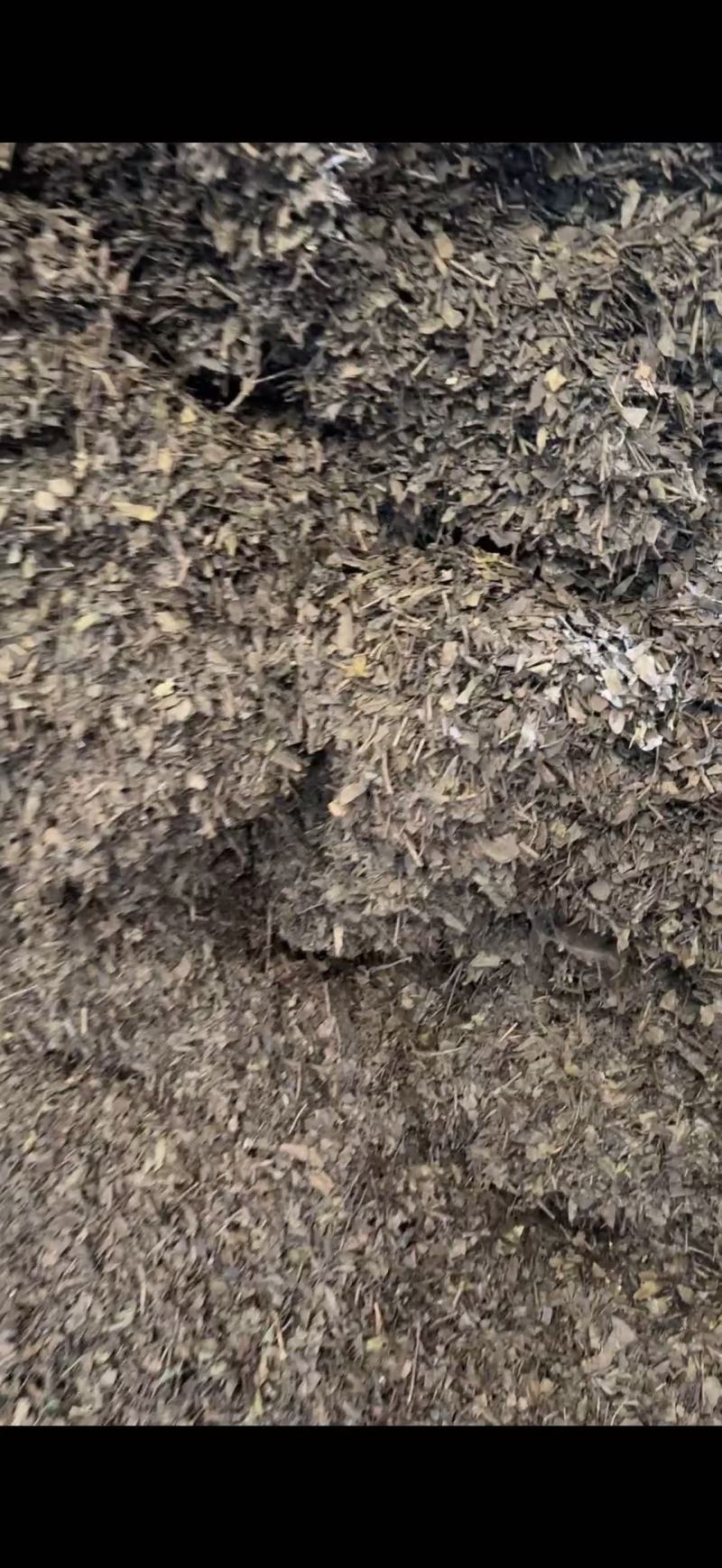 常年供应四川老茶原料，茶梗，茶叶