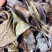 常年供应四川老茶原料，茶梗，茶叶