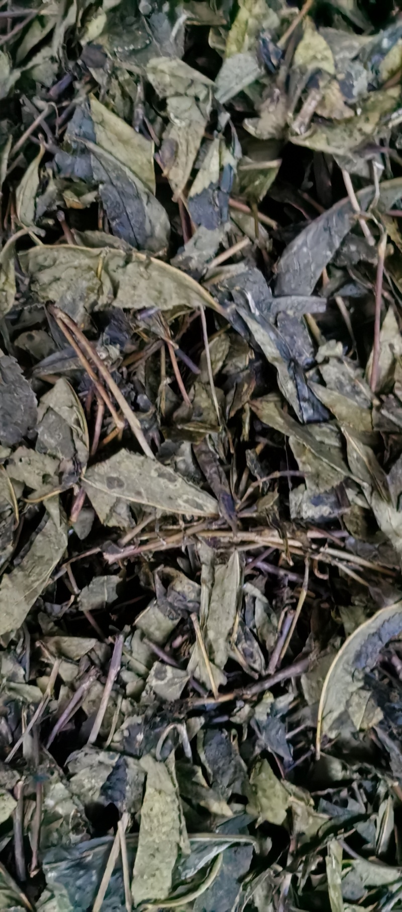 常年供应四川老茶原料，茶梗，茶叶