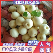 河北梨水晶梨鸭梨质量好，上货快有需要的客商联系。