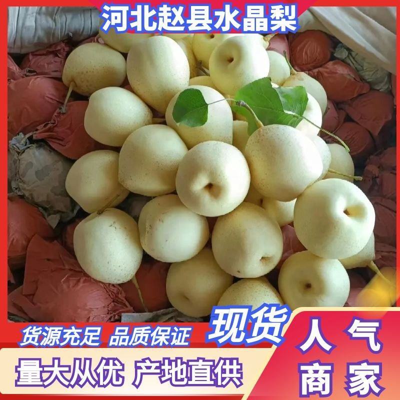 河北梨水晶梨鸭梨质量好，上货快有需要的客商联系。