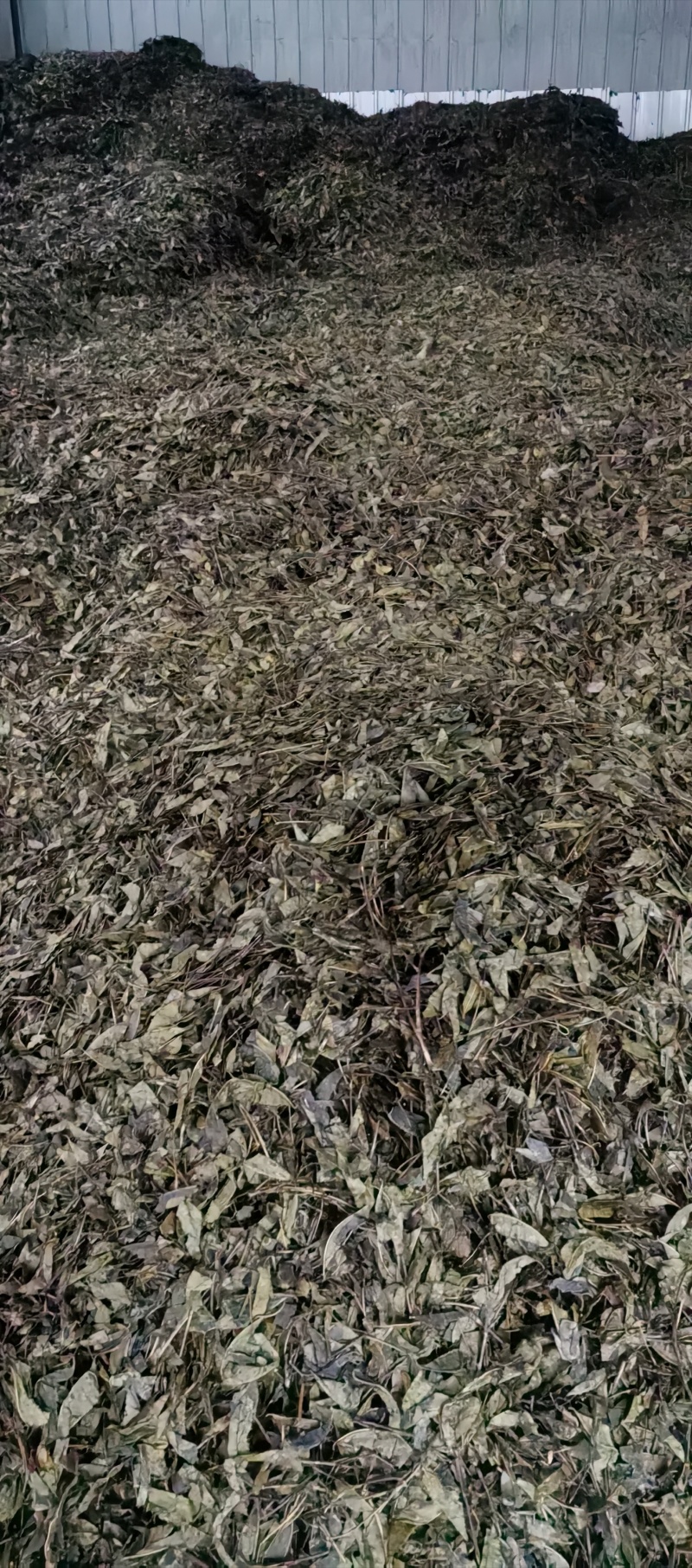 常年供应四川老茶原料，茶梗，茶叶