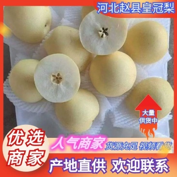 河北梨皇冠梨甜脆多汁品质保证货源充足供全国商超