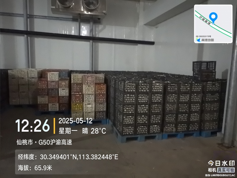 湖北沙湖九珠溏心皮蛋油黄咸鸭蛋厂家直销