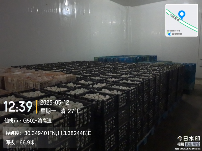 湖北沙湖九珠溏心皮蛋油黄咸鸭蛋厂家直销