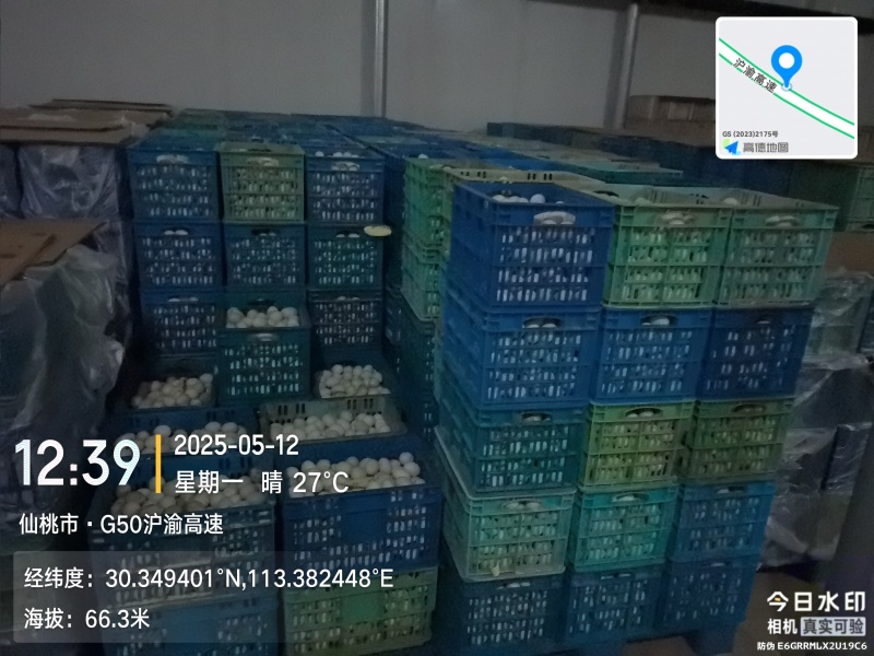 湖北沙湖九珠溏心皮蛋油黄咸鸭蛋厂家直销