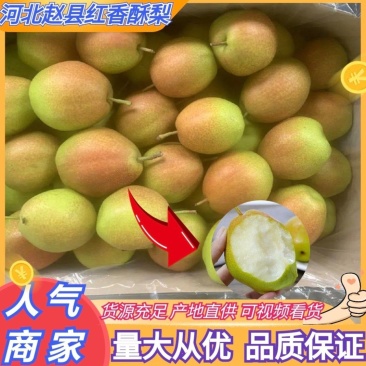 河北酥梨，红香酥梨货源充足品质好口感香甜，价格优欢迎