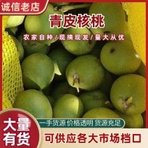 【精选】产地直发青皮核桃代发全国保质保量颗粒饱满