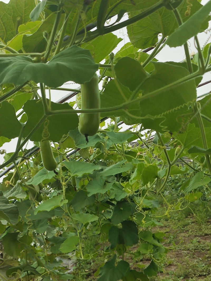 要货电话联系