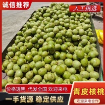 【实力商家】大量供应精品核桃代发全国视频看货质优