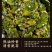 辣椒酱150g每瓶包邮