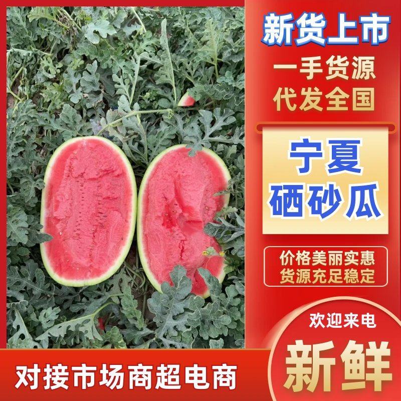 宁夏中卫石头瓜，硒砂瓜！石头缝长出来的大西瓜，一手货源，