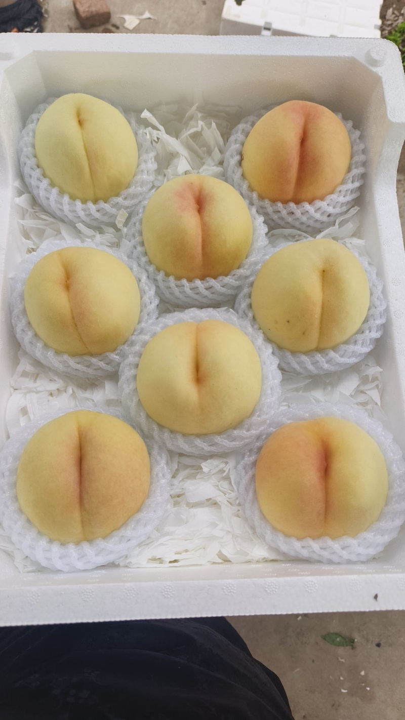 套袋突围水蜜桃