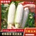 重庆精品玉米万糯188工厂货电商货大量上市价格便