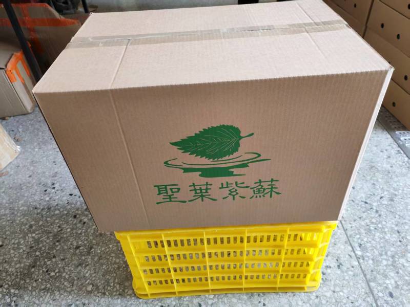 江苏紫苏叶货源充足，产地直发，新鲜到家，全国发货