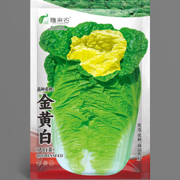 金黄白白菜种子夏秋季栽培早熟抗热耐湿可苗球两用