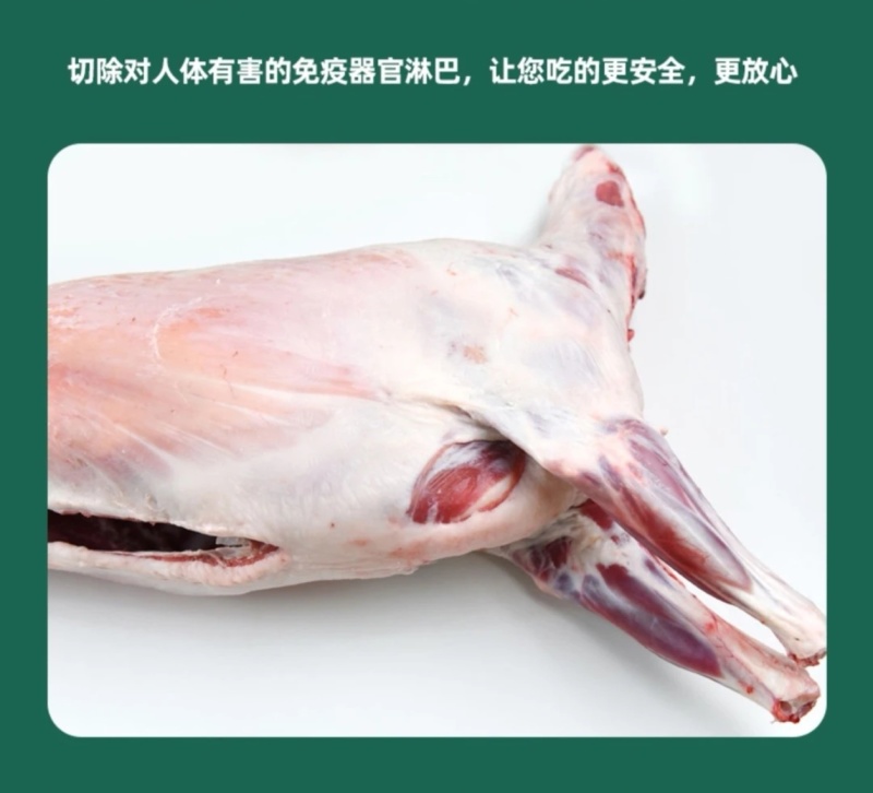 箱装全羊，羔羊羊胴体烤全羊专用，工厂直发，量大从优