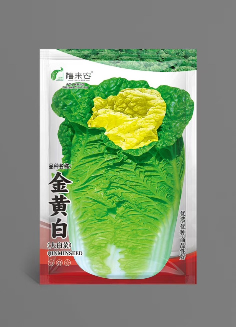金黄白白菜种子夏秋季栽培早熟抗热耐湿可苗球两用