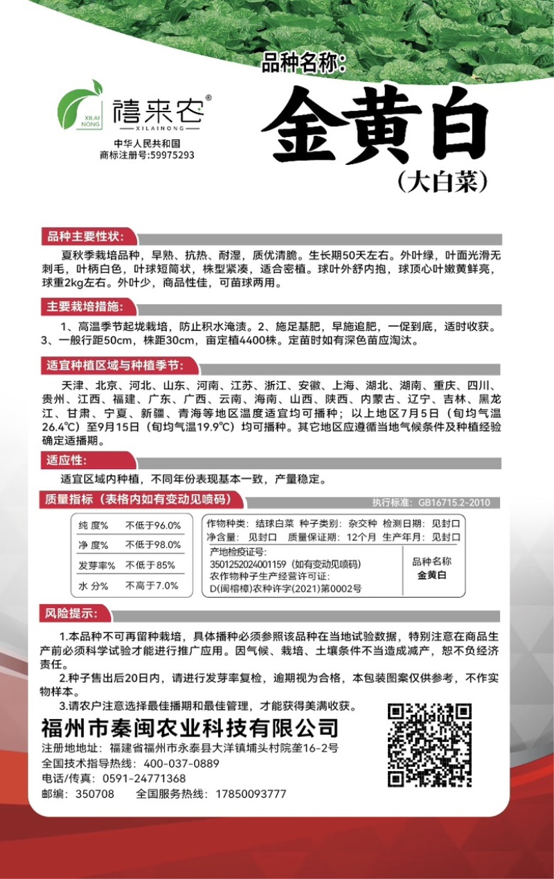 金黄白白菜种子夏秋季栽培早熟抗热耐湿可苗球两用