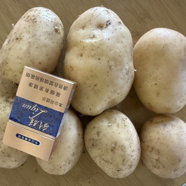 萧县沃土土豆，黄皮黄心，市场，电商，食堂货都有，按需挑选