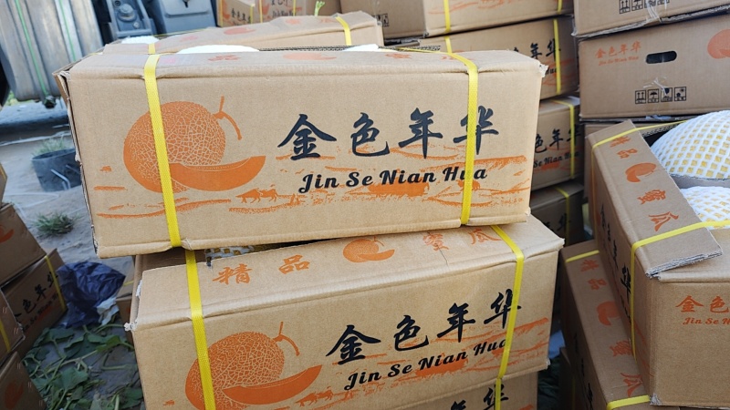 哈密瓜有：金色年华西州蜜晓密八六王子鼎蜜
