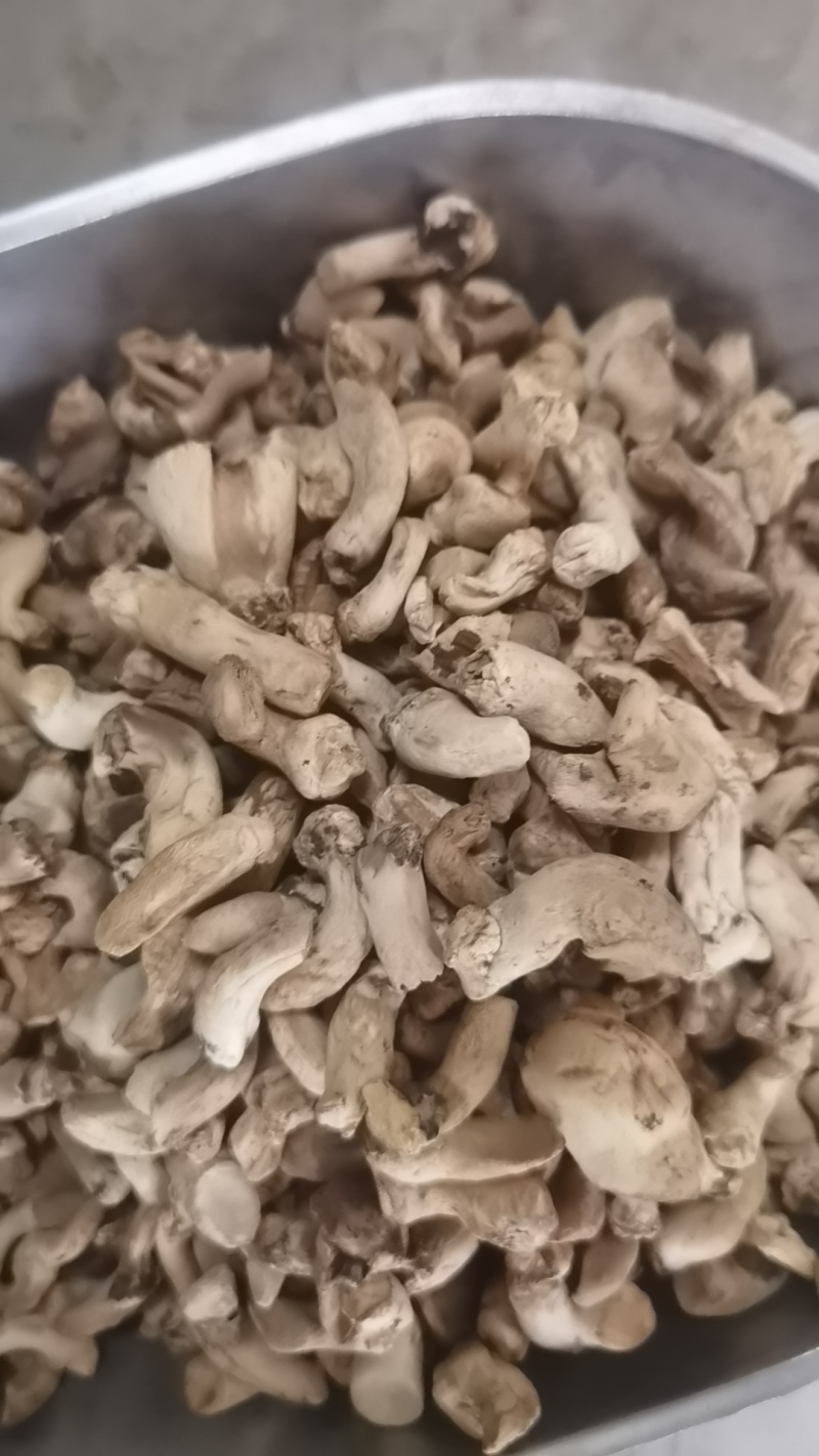 西峡精选香菇腿，干净，食品厂专用，优质冬菇