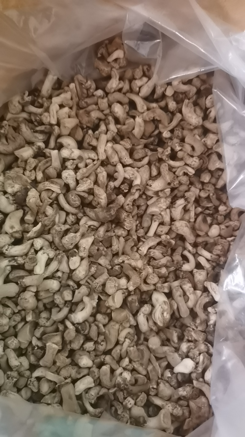西峡精选香菇腿，干净，食品厂专用，优质冬菇