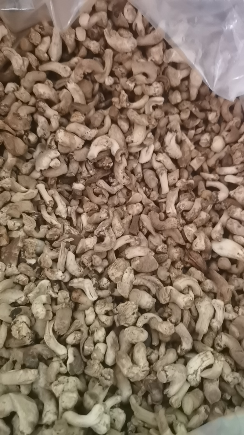 西峡精选香菇腿，干净，食品厂专用，优质冬菇