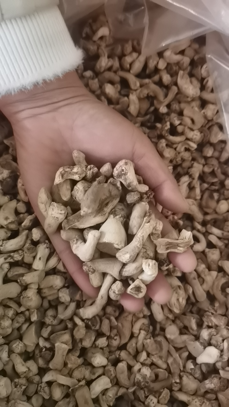 西峡精选香菇腿，干净，食品厂专用，优质冬菇