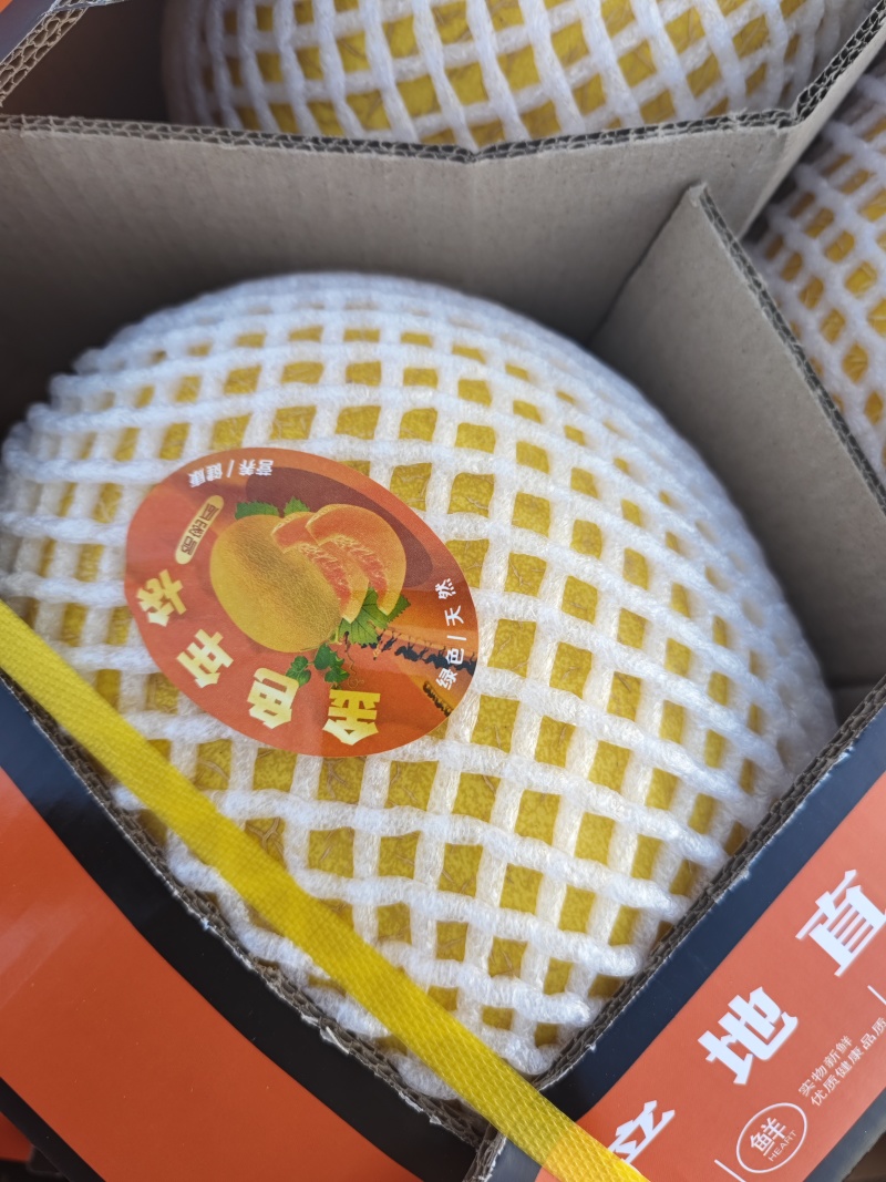 哈密瓜有：金色年华西州蜜晓密八六王子鼎蜜